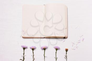 notes and flowers on a white background.The composition of the notebook and purple chrysanthemumst. Top view, flat