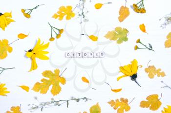 The word october on the background of yellow flowers and leaves.concept autumn.Type flat, top view