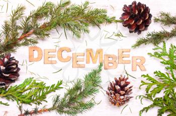 Word  December against the background of tree branches, cones on a white background wooden