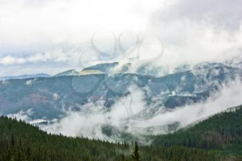 Fog in the mountains. Fog, rain over the forest, trees in mountains Carpathians, Ukraine. Dramatic sky.