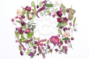 Pattern, Composition of dried flowers, pink, red roses and green leaves  on a white background. View from above, flat lay