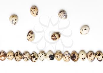 Quail eggs in a row on a white background