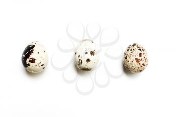 Three quail eggs in a row on a white background. View from above, flat