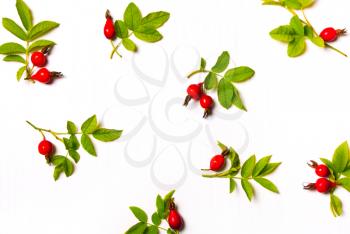 composition of red flowers, berries and green leaves on a white background.Flat lay, top view.