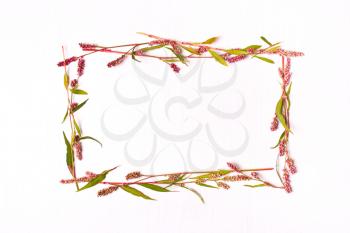 Flower backgrounds. Frame of pink color for inscriptions.Flat lay, top view.