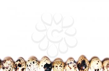 Background of quail eggs in a row on a white back. view from above, flat