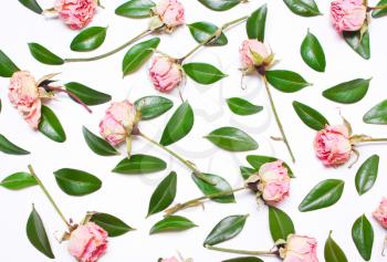 The decor of green leaves and pink flowers, roses on a white background. Top view 