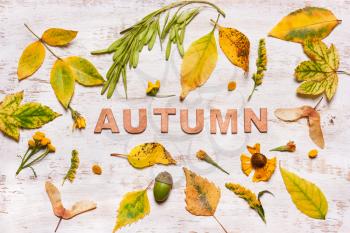 The word Autumn on a wooden background with yellow leaves. View from above, flat.