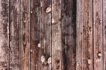 Old brown wooden oak texture. Grunge vertical panel background.Text space, empty template