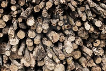 Wooden rustic background. Firewood in a row