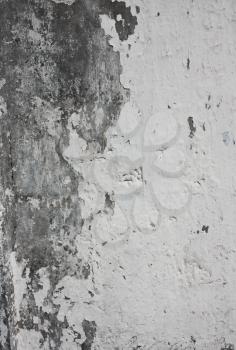 White monochrome grunge plaster background with gray cement