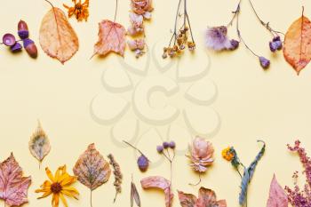 Background creative of yellow dry leaves, acorn, flowers. Autumn concept on yellow background. Pastel colors. Top view, flat