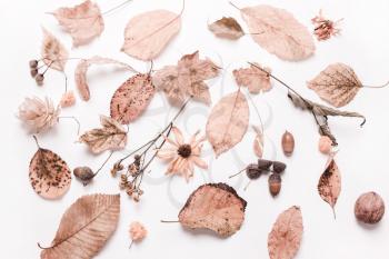 Background creative of yellow dry leaves, acorn, walnut, flowers. concept of autumn. Pastel colors. Top view, flat