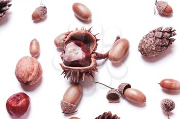 Composition of chestnut, pine cones, acorns on a white background. creative concept of autumn. Pastel colors. Top view, flat