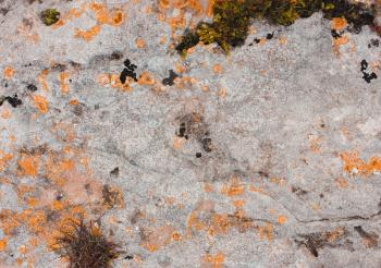 Old stone grunge gray yellow orange texture with lichen