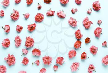 Pastel composition of coral, pink flowers, roses on a blue background. Natural festive letterhead. Soft focus