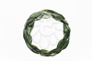Green leaves in a round frame on a white background. Minimalistic, eco, eco-friendly, creative concept. View from above