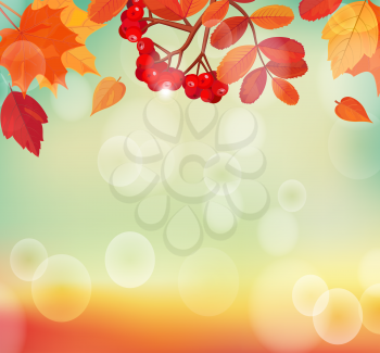 Autumn background with colorful leaves and rowan. EPS 10 vector illustration.