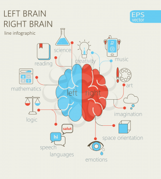 Brain left analytical and right creative hemispheres infographics liner style set vector illustration.