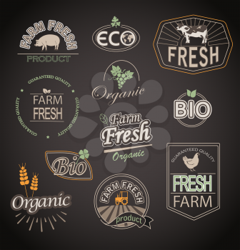 Set of badges and labels elements for organic and farm fresh food.