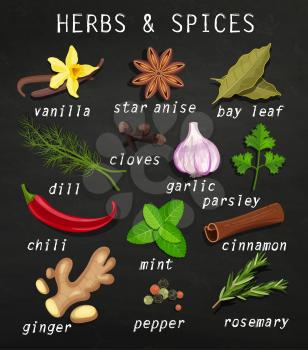 Spice and herb set. Natural healthy food production. Chalkboard background. Vector illustration.