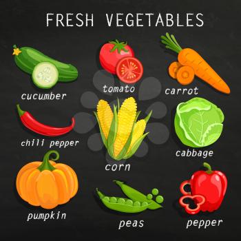 Set of fresh vegetables. Chalkboard background. Organic farm illustration. Healthy lifestyle vector illustration design elements.