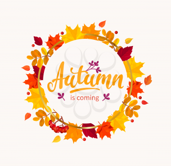 Autumn is coming banner with frame from autumn leaves. Vector illustration.