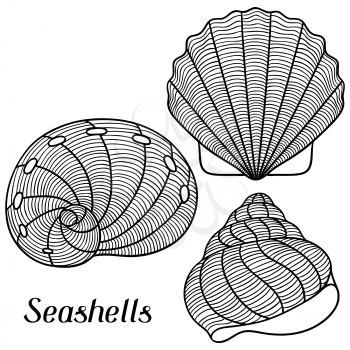 Set of stylized seashells. Objects for decoration, design on advertising booklets, banners, flayers.