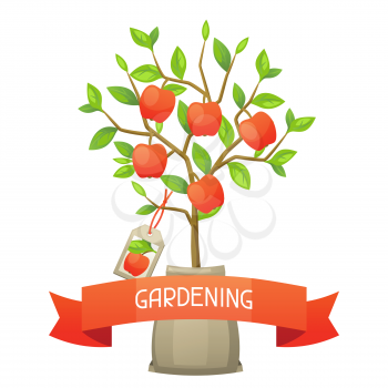  Seedling of apple tree with tag. Illustration for agricultural booklets, flyers garden.