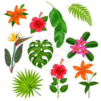 Set of stylized tropical plants, leaves and flowers. Objects for decoration, design on advertising booklets, banners, flayers.