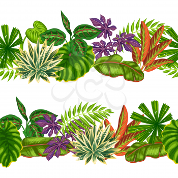 Seamless borders with tropical plants and leaves. Background made without clipping mask. Easy to use for backdrop, textile, wrapping paper.