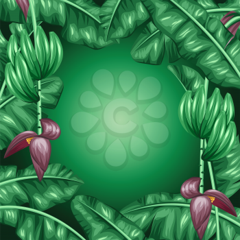 Background with banana leaves. Decorative image of tropical foliage, flowers and fruits. Design for advertising booklets, banners, flayers, cards.