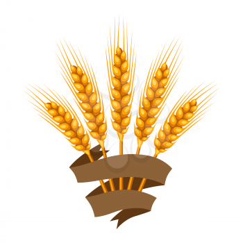 Bunch of wheat, barley or rye ears. Agricultural image for decoration bread packaging, beer labels, brochures and advertising booklets.