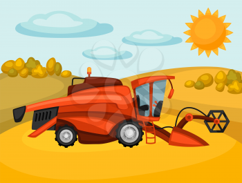 Combine harvester on wheat field. Agricultural illustration farm rural landscape.