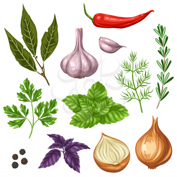 Set of various stylized herbs and spices.