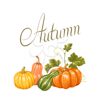 Autumn background with pumpkins. Decorative illustration from vegetables and leaves.