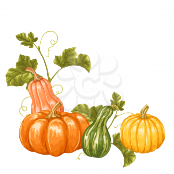 Design element with pumpkins. Decorative ornament from vegetables and leaves.