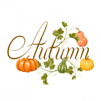Autumn background with pumpkins. Decorative illustration from vegetables and leaves.
