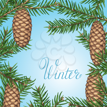 Background with fir branches and cones. Detailed vintage illustration.