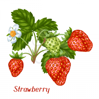 Bunch of red strawberries. Decorative berries and leaves.