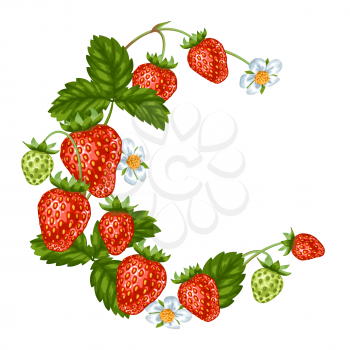 Decorative element with red strawberries. Illustration of berries and leaves.