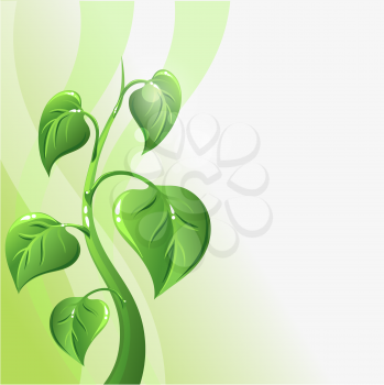 Green sprout with leaves and copyspace for your text.