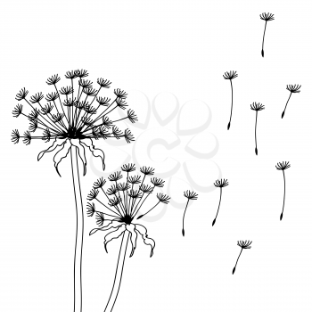 Dry dandelion flowers - abstract vector illustration.