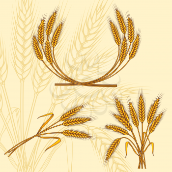 Background with ripe yellow wheat ears.