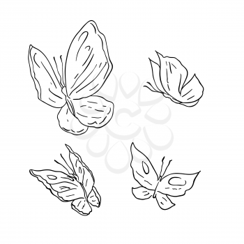 Hand draw grunge vector butterfly on white background.