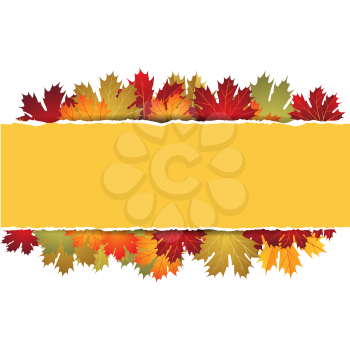 EPS10 Autumn maple leaves background. Vector illustration.