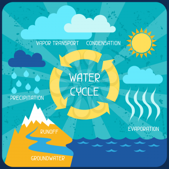 The water cycle. Poster with nature infographics in flat style.