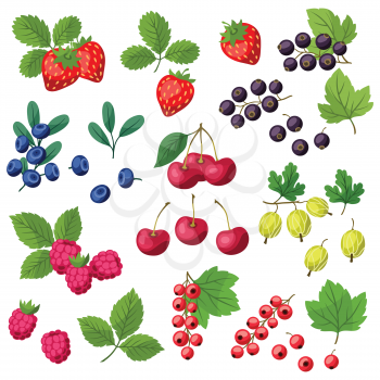 Set of various stylized ripe fresh berries.