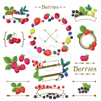 Set of various ribbons and labels with berries.
