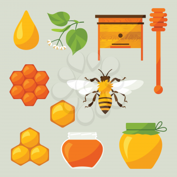Set of honey and bee objects, icons.
